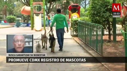 ¡Registra a tu compañero peludo! CdMx lanza campaña para registrar mascotas