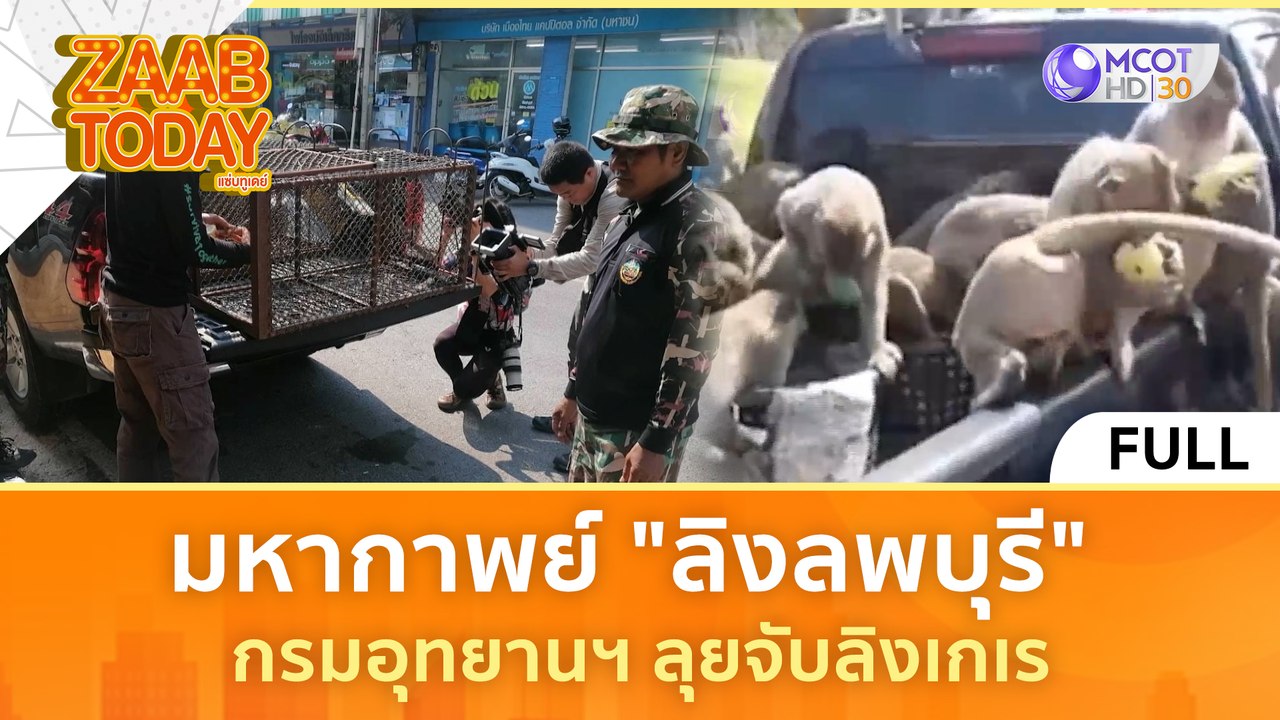 [คลิปเต็ม] มหากาพย์ "ลิงลพบุรี" กรมอุทยานฯ ลุยจับลิงเกเร (1 เม.ย.67) | แซ่บทูเดย์