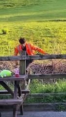 Which one really made you laugh_  #viral #shorts #fails #funny #mmvfunny