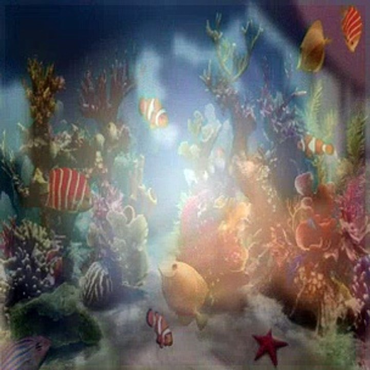 Dora The Explorer S03E13 Boots' Special Day video Dailymotion