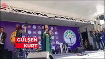 DEM Parti Van eşbaşkanı Kurt ile DBP Van eşbaşkanı Okay kutlamalarda konuştu