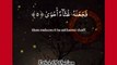 Calming Quran Recitation Récitation du Coran #islamic_video #Ramzan1445 #koran #Ramdhan2024 #VoiceOfQuranSoutAlQuran