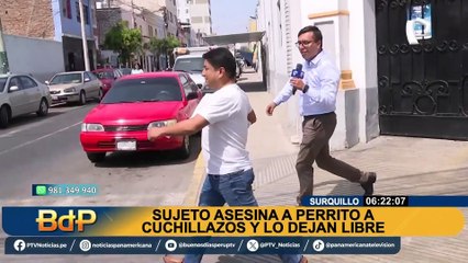 Liberan a hombre que acuchilló a perrito durante una fiesta en Viernes Santo