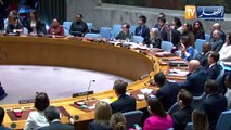 عضوية فلسطين في الأمم المتحدة.. الرئيس تبون يؤكد أن وقتها قد حان