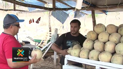 tn7-productores-vaticinan-afectacion-por-cierre-de-puente-la-amistad-010424