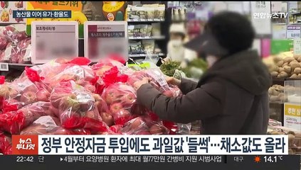 下载视频: 유가에 환율도 불안…정부 '물가 잡기' 총력전