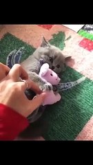 Jangan sentuh punyaku