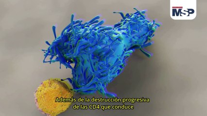 El SIDA y su destrucción progresiva al sistema inmunológico - #ExclusivoMSP