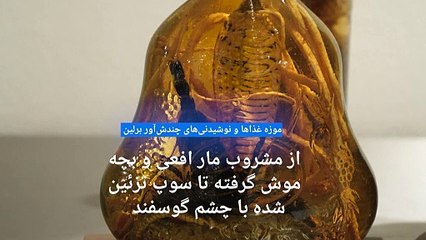 موزه غذاها و نوشیدنی‌های چندش‌آور؛ از مشروب مار و بچه موش‌ گرفته تا سوپ چشم‌گوسفندی