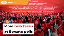 More new faces expected to be elected at Bersatu polls