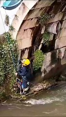 Bombeiros de Alcobaça resgatam cão