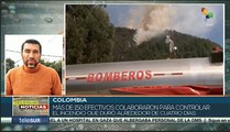Más de 2 mil hectáreas afectadas por los incendios forestales en Colombia