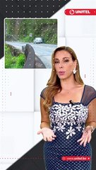 Una mujer que hacía turismo en los Yungas desapareció de forma misteriosa el fin de semana