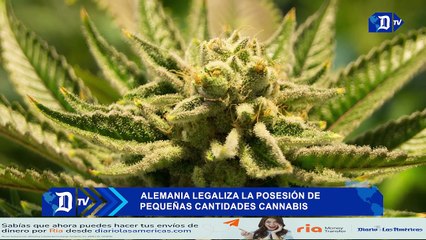 Alemania legaliza la posesión de pequeñas cantidades cannabis | El Diario en 90 segundos