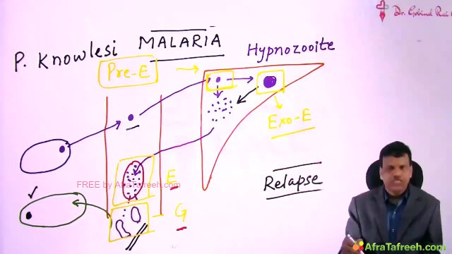 Anti-parasitic drugs // Anti-microbial drugs // pharmacology MBBS 2nd year