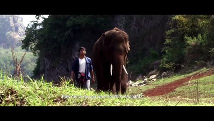 L'Honneur du dragon 2 Bande-annonce (EN)