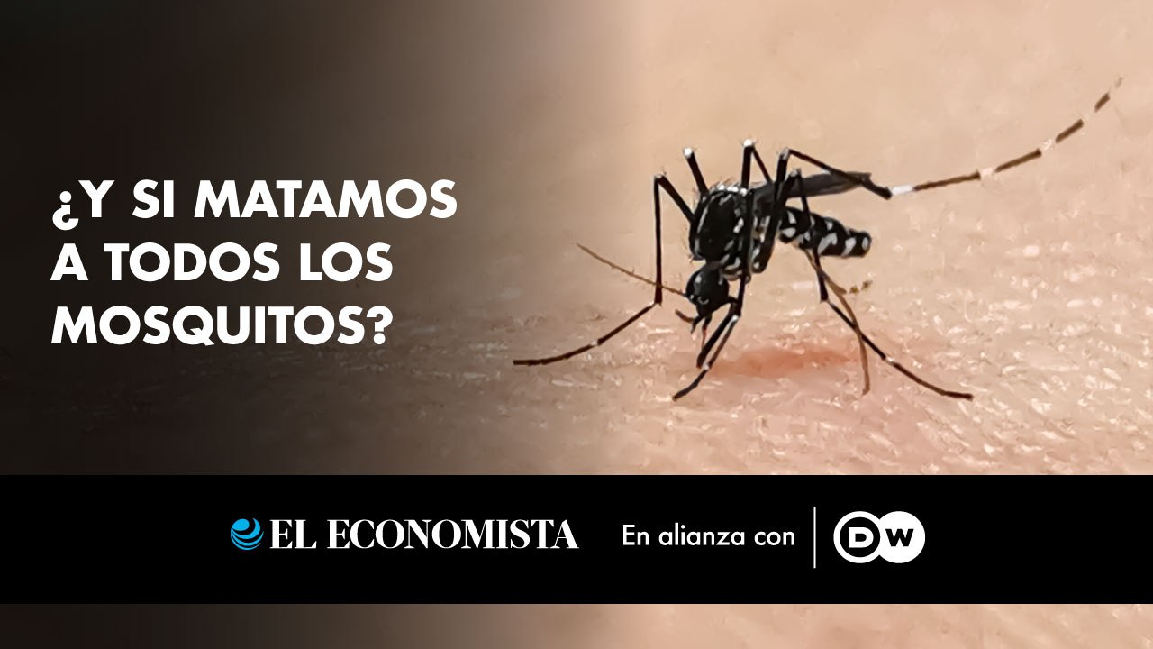 ¿Y si matamos a todos los mosquitos?
