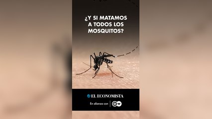 ¿Y si matamos a todos los mosquitos?