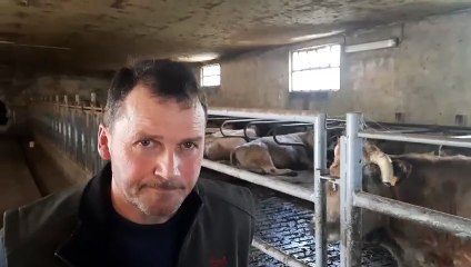 Pascal Laurent, agriculteur et vice-président de l'association du boeuf des prairies fleuries