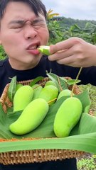 Mangga muda