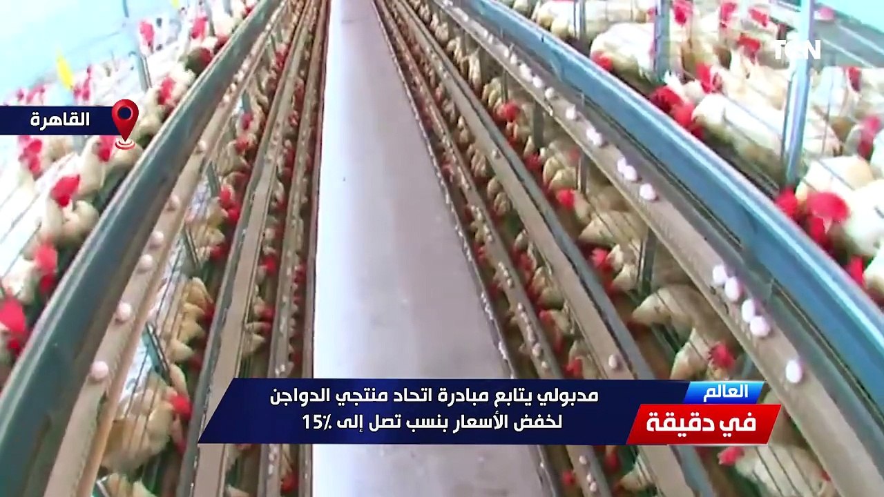 ⭕ رئيس الوزراء يتابع مبادرة اتحاد منتجي الدواجن لخفض الأسعار بنسب تصل إلى 15%