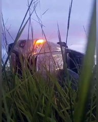 Carro de traficante capota e drogas se espalham pelo campo 🚓