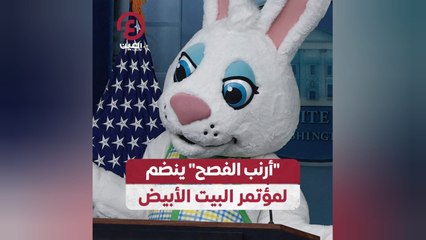 "أرنب الفصح" ينضم لمؤتمر البيت الأبيض