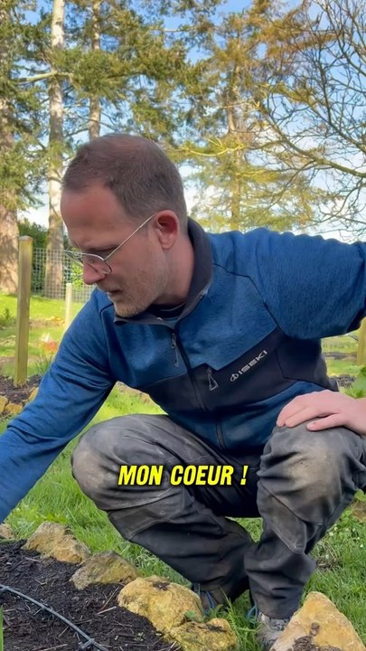 On devait vous faire un Potager Tour qui s’est finalement transformé en récap des projets au potager. Mais promis, une vidéo arrive bientôt pour découvrir les semis du potager et de la serre ‍