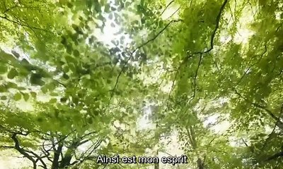 Les Sorciaprèsres d'Akelarre Streaming VF - FanStream