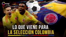 Selección Colombia tendría su último rival amistoso antes de enfrentar la Copa América