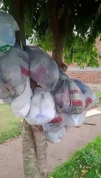 Moradores do Jardim Viena reclamam que estão há 15 dias sem coleta de lixo no bairro