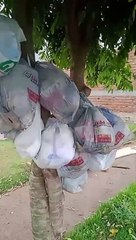 Moradores do Jardim Viena reclamam que estão há 15 dias sem coleta de lixo no bairro