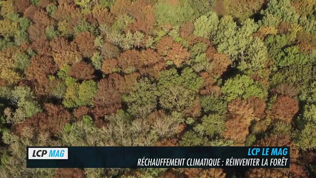 LCP le mag - Bande annonce