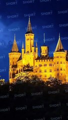 Forbidden desires Alpha‘s Love  Movie