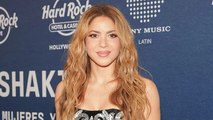 Shakira Voices Mixed Feelings About 'Barbie,' Says She and Her Sons Found it 