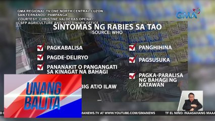 DOH, nagpaalala kaugnay sa pagbabakuna kontra-rabies | UB
