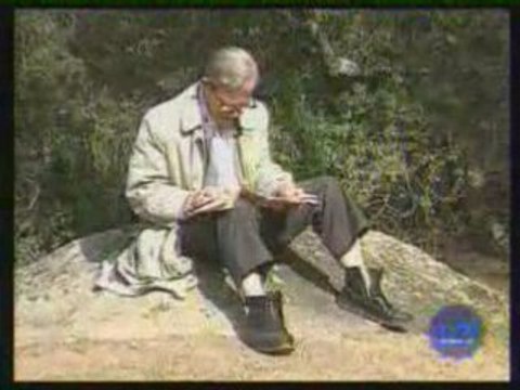 Comique - Gags animaux