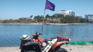En plenas vacaciones aparece cocodrilo en playa Holi de Vallarta y ponen bandera morada