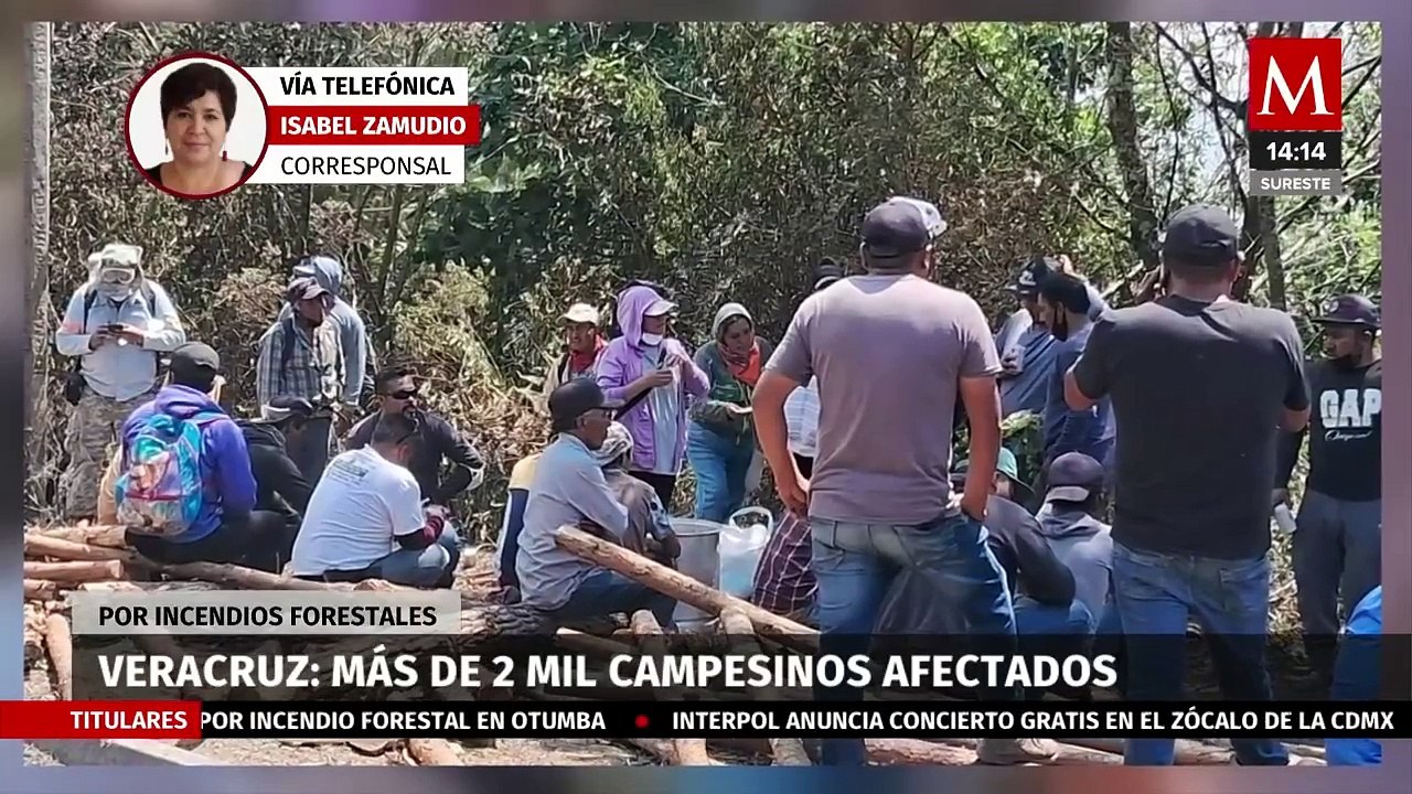 Más de 2 mil campesinos han sido afectados por incendios forestales en Veracruz
