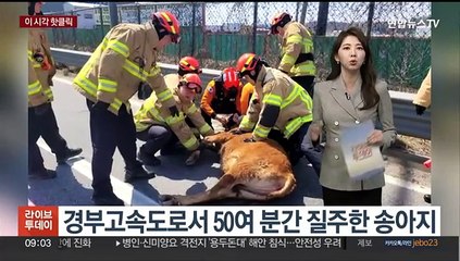 [핫클릭] "나치 SS 같다"…독일 축구팀 '44번' 유니폼 판매 중단 外