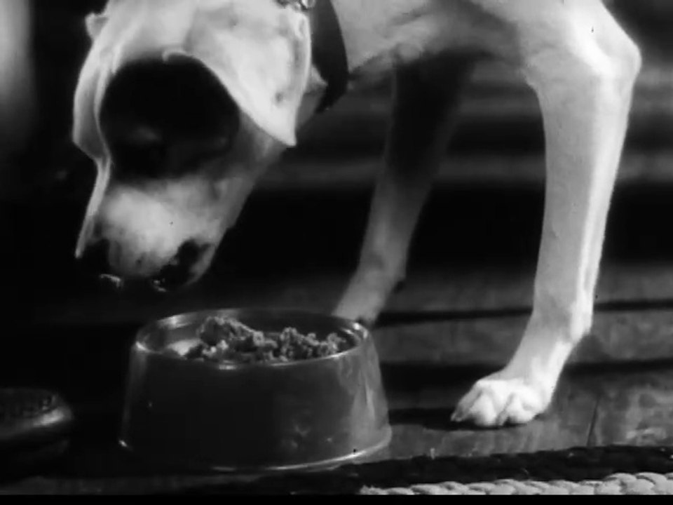 1960s-gaines-burger-dog-food-tv-commercial-video-dailymotion