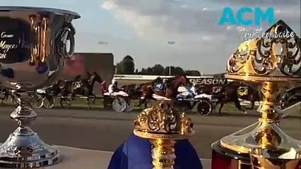Gold Crown Carnival 2024 Highlights at Bathurst Harness Racing 🏆