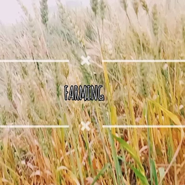 FARMING 