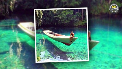 Things You Are Doing Wrong | FactVida