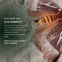 -Jacobo Shemaria Capuano- Equipo de Lucha de Colombia en las olimpiadas: (Parte 1) (Creado por @JacoboShemariaCapuano)
