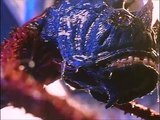 Creatures from the Abyss | movie | 1994 | Official Clip