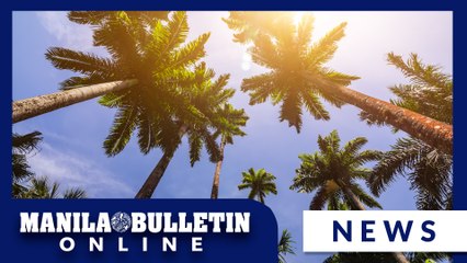 PAGASA advises bringing water bottle, umbrella due to ongoing hot weather