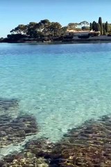 One of the best crystal clear salt water️️