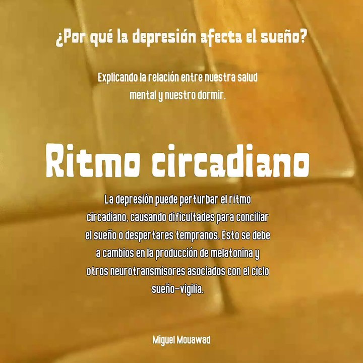 Miguel Mouawad- Ritmo circadiano: