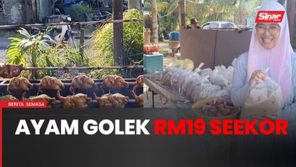 Ayam golek murah mendapat sambutan